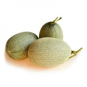 2026网纹瓜十大品牌排行榜