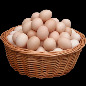 2026草鸡蛋十大品牌排行榜