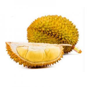 2026金枕十大品牌排行榜