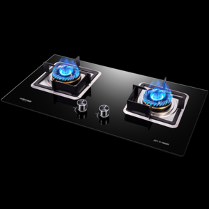 2026单煤气灶十大品牌排行榜