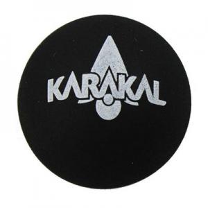 2026壁球十大品牌排行榜