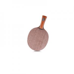 2026乒乓球底板十大品牌排行榜