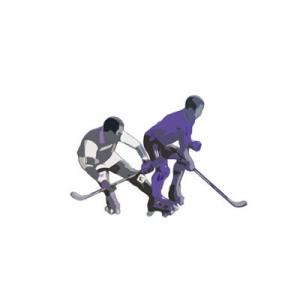 2026轮滑球十大品牌排行榜