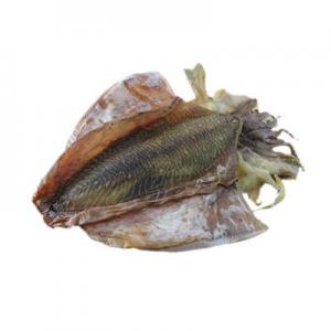 2026墨鱼十大品牌排行榜