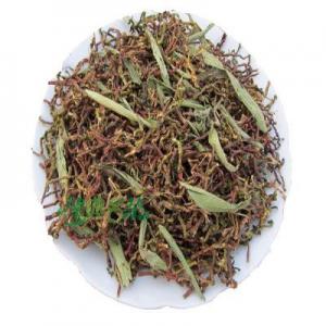 2026长寿茶十大品牌排行榜