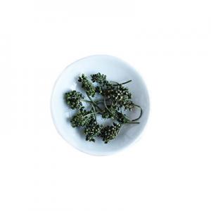 2026滋补茶十大品牌排行榜