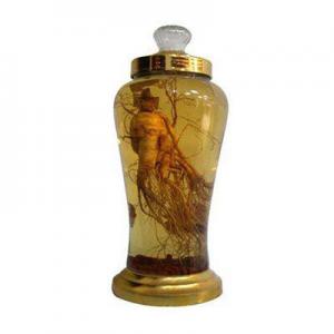 2026泡酒人参十大品牌排行榜