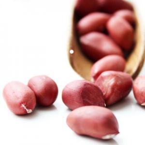 2026花生衣十大品牌排行榜