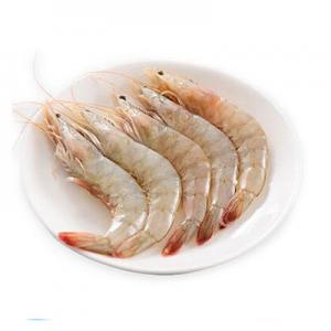 2026南美白对虾十大品牌排行榜