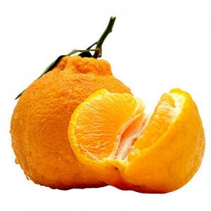 2026不知火十大品牌排行榜