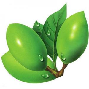 2026槟郎十大品牌排行榜