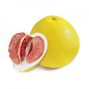 2026蜜柚十大品牌排行榜