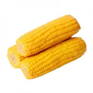 2026甜玉米十大品牌排行榜