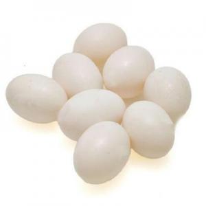 2026鸽子蛋十大品牌排行榜