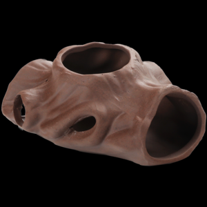 2026水草十大品牌排行榜