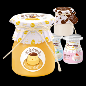 2026布丁十大品牌排行榜