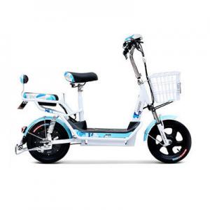 2026电动自行车十大品牌排行榜