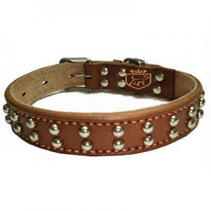 2026狗链十大品牌排行榜