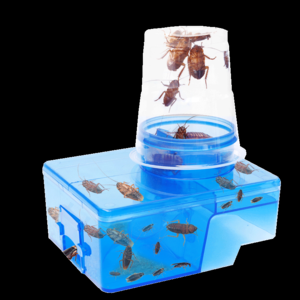 2026杀蟑螂药十大品牌排行榜