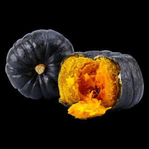 2026小南瓜十大品牌排行榜