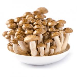 2026菌菇十大品牌排行榜