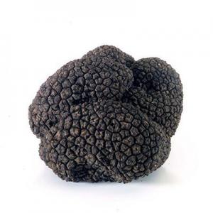 2026黑松露十大品牌排行榜