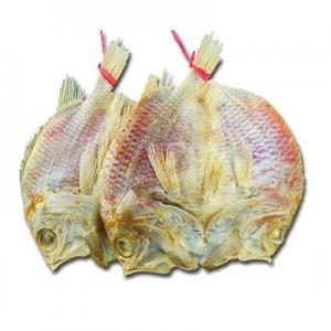 2026海鱼干十大品牌排行榜