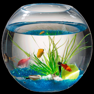 2026玻璃鱼缸定制十大品牌排行榜