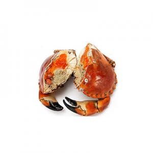 2026珍宝蟹十大品牌排行榜