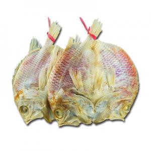 2026鱼干十大品牌排行榜