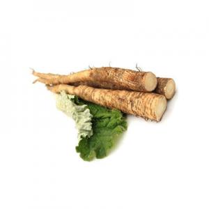 2026牛蒡根十大品牌排行榜