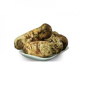 2026松茸菌十大品牌排行榜