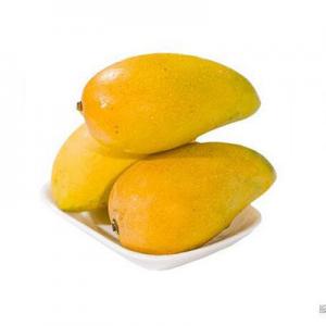 2026芒果十大品牌排行榜