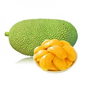 2026菠萝蜜十大品牌排行榜