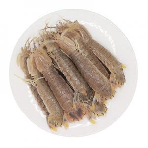 2026皮皮虾十大品牌排行榜