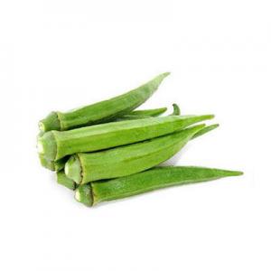 2026秋葵十大品牌排行榜