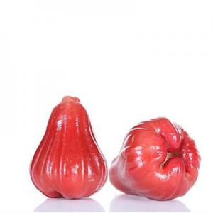 2026莲雾十大品牌排行榜