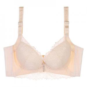 2026胸罩十大品牌排行榜