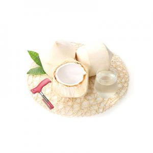 2026椰子十大品牌排行榜