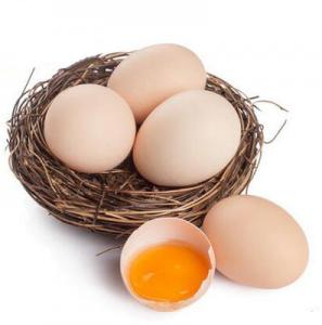 2026鸡蛋十大品牌排行榜
