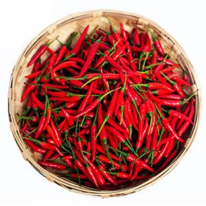 2026辣椒十大品牌排行榜