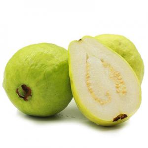 2026芭乐十大品牌排行榜