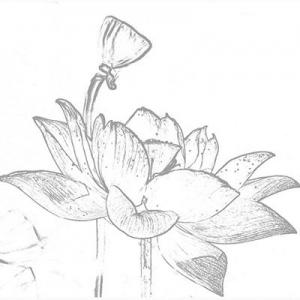 2026素描画十大品牌排行榜