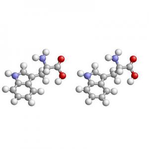 2026蛋白质十大品牌排行榜