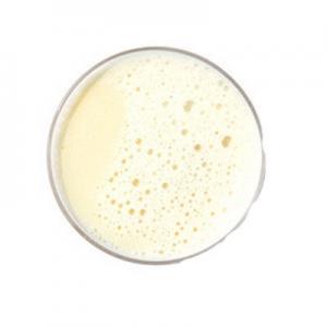 2026豆浆十大品牌排行榜