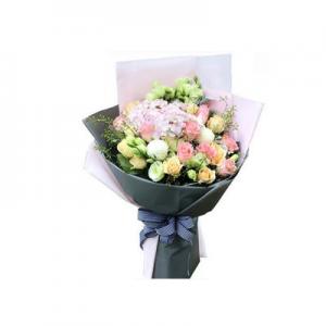 2026洋桔梗十大品牌排行榜