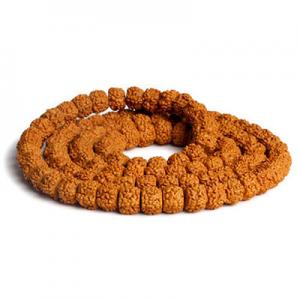 2026菩提十大品牌排行榜