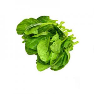 2026木耳菜十大品牌排行榜