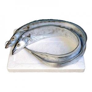 2026带鱼十大品牌排行榜