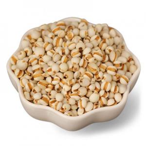 2026薏仁十大品牌排行榜